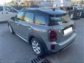 MINI Countryman Mini Countryman 1.5 Cooper SE All4 all4 auto