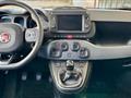 FIAT PANDA CROSS Panda Cross 1.0 FireFly S&S Hybrid