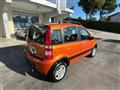 FIAT PANDA RECANATI - NEOPATENTATI - 1.2 Climbing Nat. Power