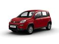 FIAT PANDA 3ª serie 1.0 FireFly S&S Hybrid