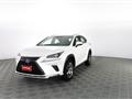 LEXUS NX NX Hybrid 4WD Business