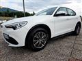 ALFA ROMEO STELVIO 2.2 Turbodiesel 190 CV AT8 Q4 Business