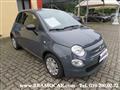 FIAT 500 1.0 70cv HYBRID CULT - KM 49.896 - x NEOPATENTATI