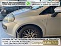 FIAT PUNTO 1.2 5 porte S&S Dynamic