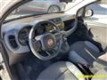 FIAT PANDA 1.2 Easy - 69CV - OK NEOPATENTATI