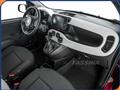 FIAT PANDA 1.0 FireFly S&S Hybrid Pandina