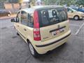 FIAT PANDA 1.2 Dynamic NEOPATENTATI