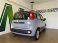 FIAT PANDA 1.2 69 CV Lounge 5 POSTI