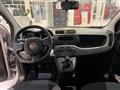 FIAT PANDA HYBRID 1.0 70 CV