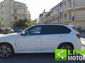 BMW X5 4.0 D 315 LUXURY XDRIVE AUTOMATICA