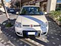 FIAT Panda 1.3 mjt 16V 4x4 75CV