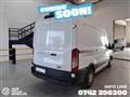 FORD TRANSIT 290 2.0TDCi EcoBlue 130CV PM-TM Furgone Trend