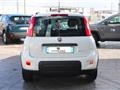 FIAT Panda 1.0 firefly hybrid City Life s&s 70cv