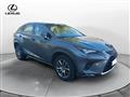 LEXUS NX Hybrid 4WD Premium