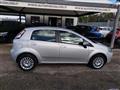 FIAT PUNTO 1.2 8V 5 porte Easy