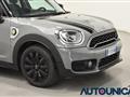 MINI COUNTRYMAN HYBRID 1.5 COOPER SE BUSINESS HYBRID ALL4 AUTO TETTO