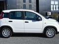 FIAT PANDA CROSS 1.0 Hybrid 70cv SERIE 7