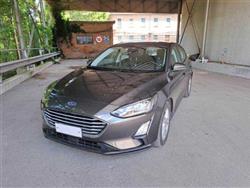 FORD FOCUS 1.5 EcoBlue 120 CV automatico 5p. Business Co-Pil