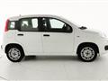 FIAT PANDA 1.2 EasyPower Easy - OK NEOPATENTATO