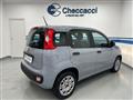 FIAT PANDA 3ª serie -  1.2 Easy