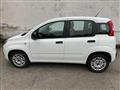 FIAT PANDA 1.2 Easy Blue&Me