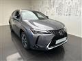 LEXUS UX Hybrid EXECUTIVE