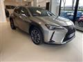 LEXUS UX Hybrid Luxury