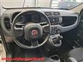 FIAT PANDA VAN VAN 1.0 Hybrid 70CV- KM ZERO PRONTA