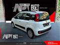 FIAT PANDA 1.2 Lounge 69cv