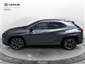 LEXUS UX Hybrid Luxury