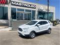 FORD EcoSport 1.0 EcoBoost 125 CV S&S aut. Titanium