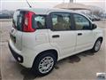 FIAT Panda 1.2 Trussardi