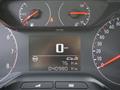 OPEL CROSSLAND 1.2 Turbo 12V 110 CV Start&Stop Edition