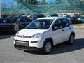 FIAT PANDA CROSS 1.0 Hybrid 70cv SERIE 7