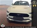 FORD MUSTANG Fastback 5.0 V8 GT  CERTIFICATA FORD EUROPEA