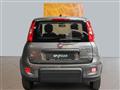 FIAT PANDA CROSS 1.0 MY23 Hybrid 70cv