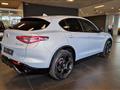 ALFA ROMEO STELVIO 2.2 Turbodiesel 210 CV AT8 Q4 Competizione