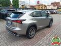 LEXUS NX Hybrid 4WD Luxury