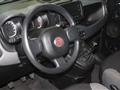 FIAT PANDA 1000 HYBRID CITY LIFE  70 CV