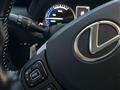 LEXUS NX 2.5h LUXURY 4WD 197cv(222) TETTO PANORAMA NAVI