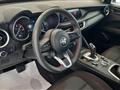 ALFA ROMEO STELVIO 2.2 Turbodiesel 160 CV AT8 RWD Business