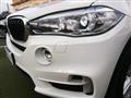 BMW X5 xDrive25d Business