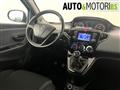 LANCIA YPSILON 1.2 69 CV 5 porte Gold *NEOPATENTATI*