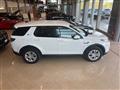 LAND ROVER DISCOVERY SPORT Discovery Sport 2.0D I4-L.Flw 150 CV AWD Auto S