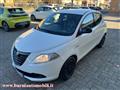 LANCIA YPSILON 1.2 69 CV 5 porte Elefantino