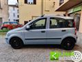 FIAT PANDA 1.2 Dynamic NEOPATENTATI