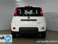 FIAT PANDA CROSS Panda 1.0 70cv Hybrid Panda My23