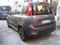 FIAT PANDA 1.0 FIREFLY S-S HYBRID CITY LIFE