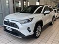 TOYOTA RAV4 2.5 HV (222CV) E-CVT AWD