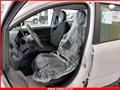 FIAT Panda 1.0 FireFly S&S Hybrid MY24 KM ZERO!!! IVATA NEOPATENTATI